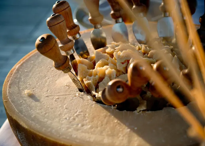 外交酒店 切尔维亚